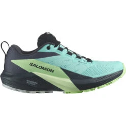 Salomon Dames Sense Ride 5 GTX Schoenen