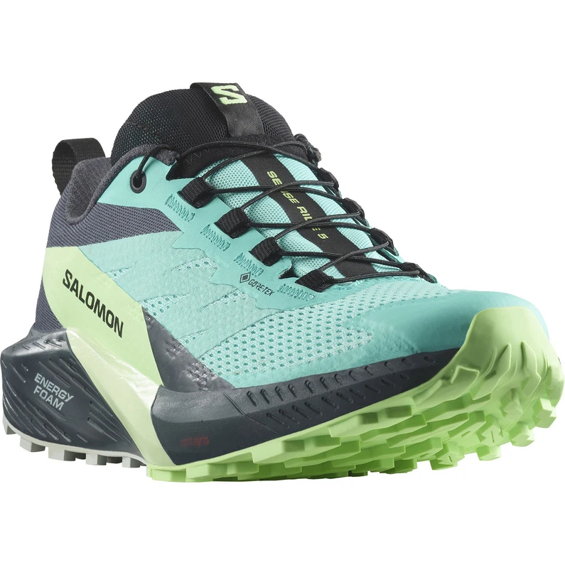 Salomon Dames Sense Ride 5 GTX Schoenen 2 Salomon Dames Sense Ride 5 GTX Schoenen - Afbeelding 2