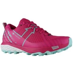RaidLight Dynamic 2.0 Women's Running Shoes - Pink/ice Blue